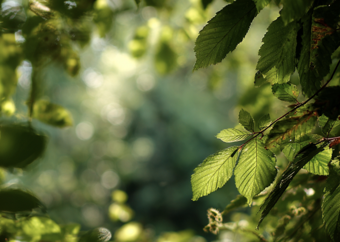 Auch dies geht vorüber (7 Minuten)